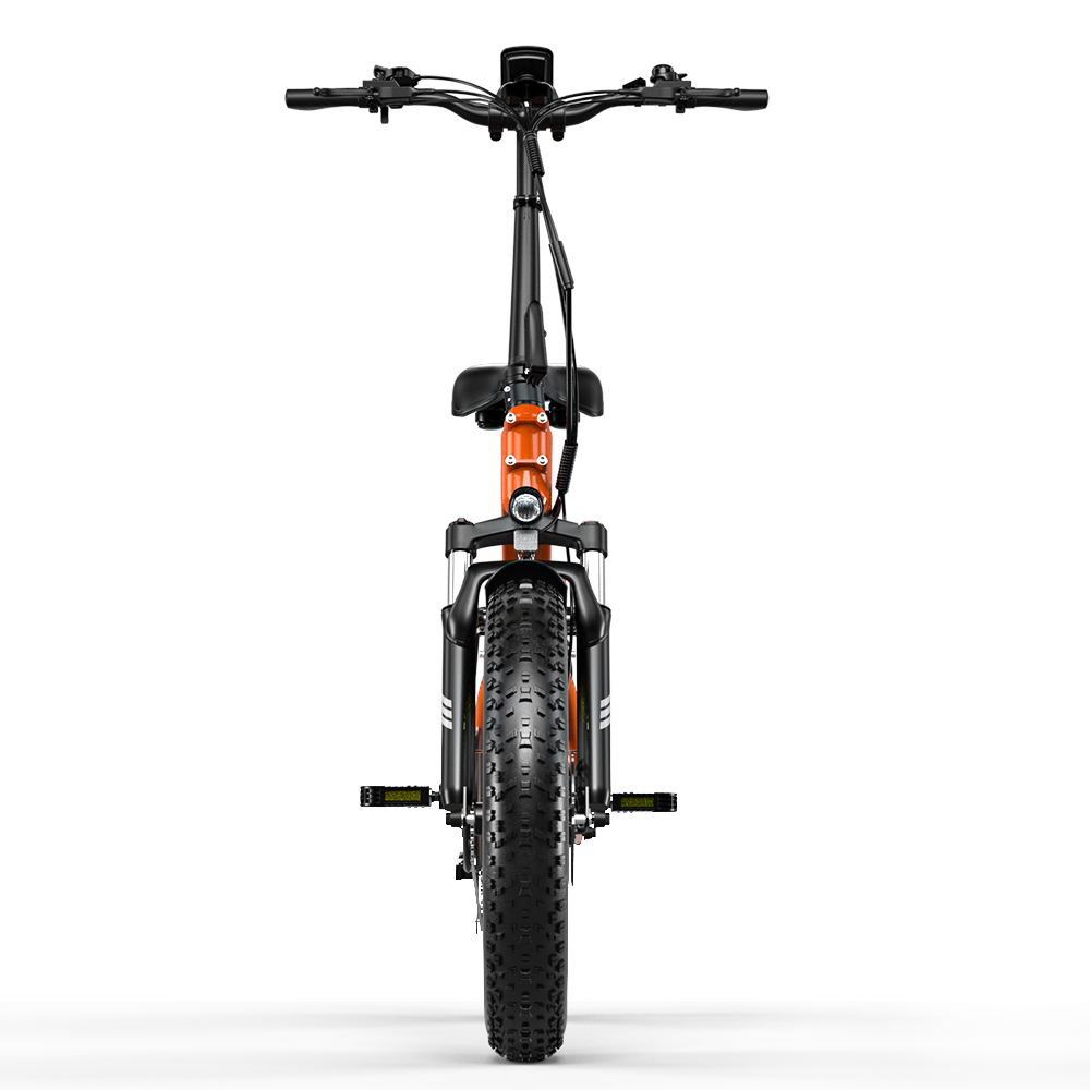 ELETRONBIKE OD20