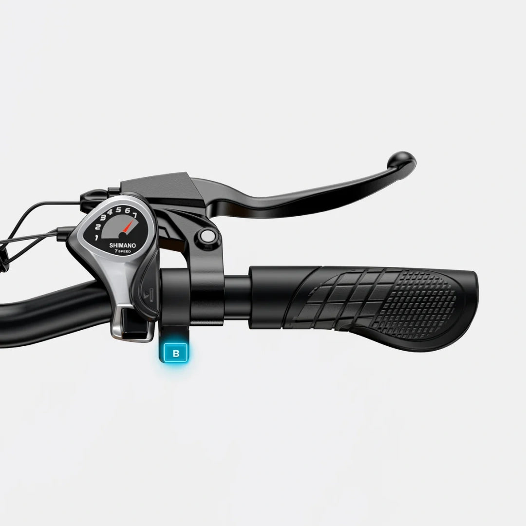 Engwe EP-2 Pro Fat Tire Folding Electric Bike