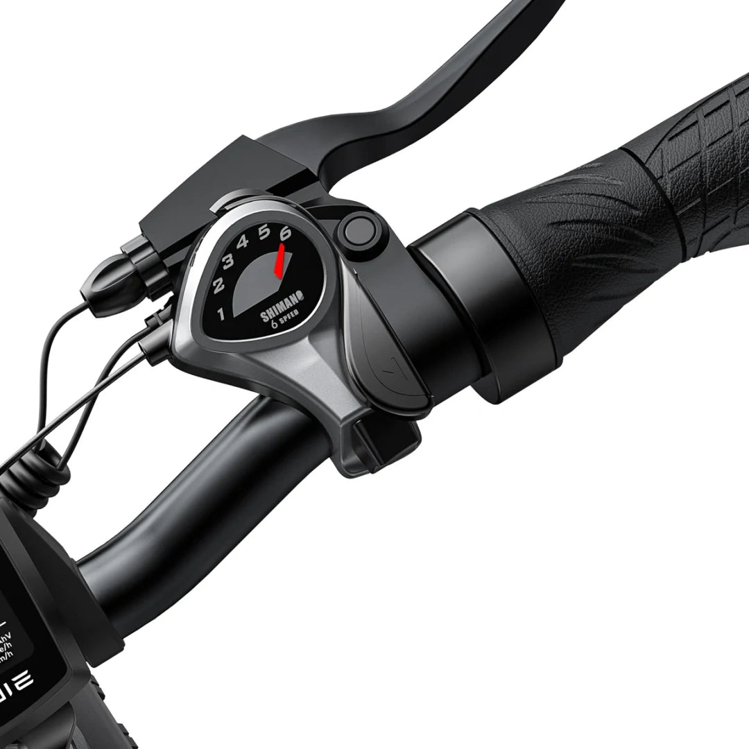 Engwe EP-2 Pro Fat Tire Folding Electric Bike