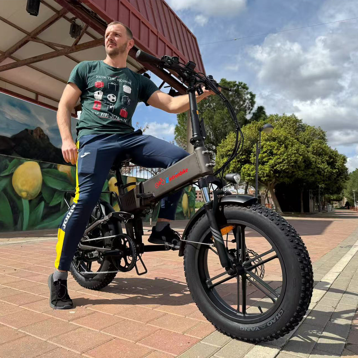 ELETRONBIKE OG20