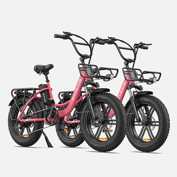 ENGWE L20 140KM Long-Range Step-thru Electric Fat Tire Bicycle
