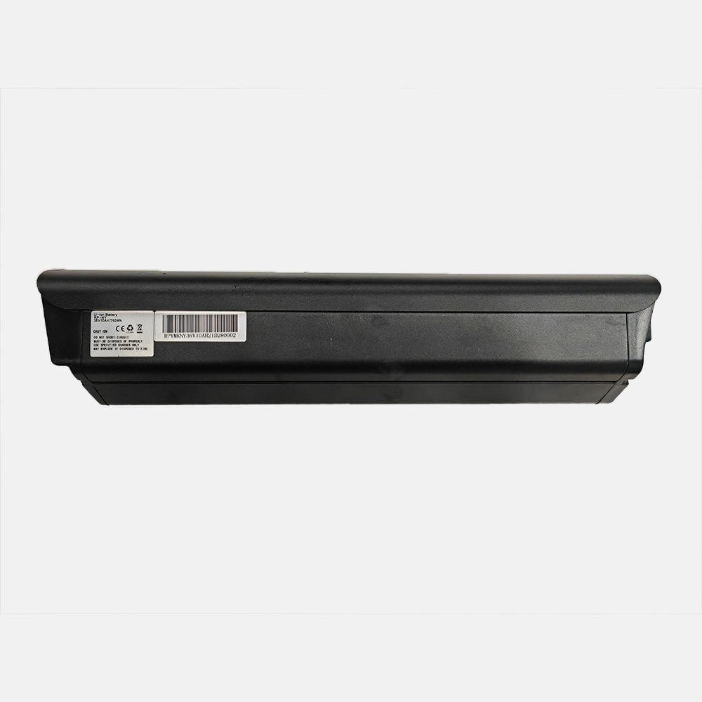 Eletronbike OD11 Battery