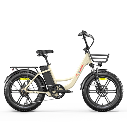 ELETRONBIKE OC20