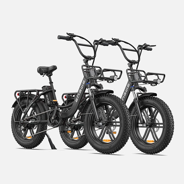 ENGWE L20 140KM Long-Range Step-thru Electric Fat Tire Bicycle