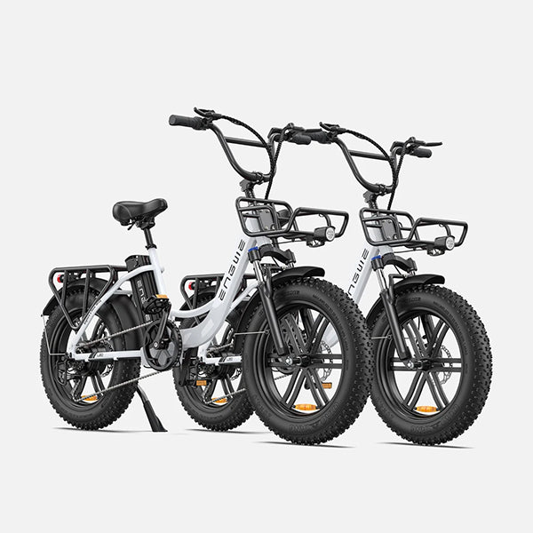 ENGWE L20 140KM Long-Range Step-thru Electric Fat Tire Bicycle
