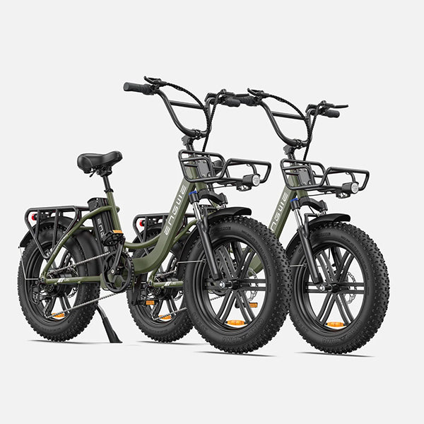 ENGWE L20 140KM Long-Range Step-thru Electric Fat Tire Bicycle