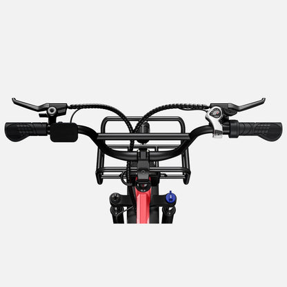 ENGWE L20 140KM Long-Range Step-thru Electric Fat Tire Bicycle