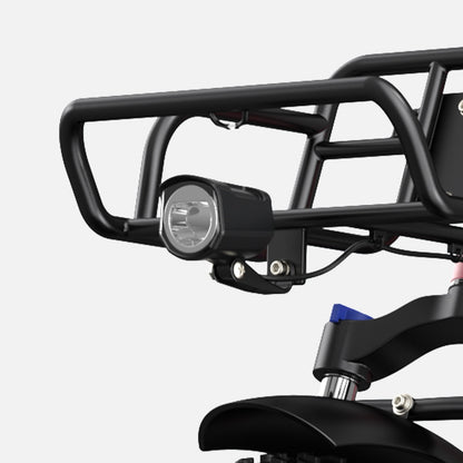 ENGWE L20 140KM Long-Range Step-thru Electric Fat Tire Bicycle