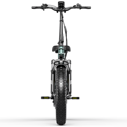 ELETRONBIKE OG20