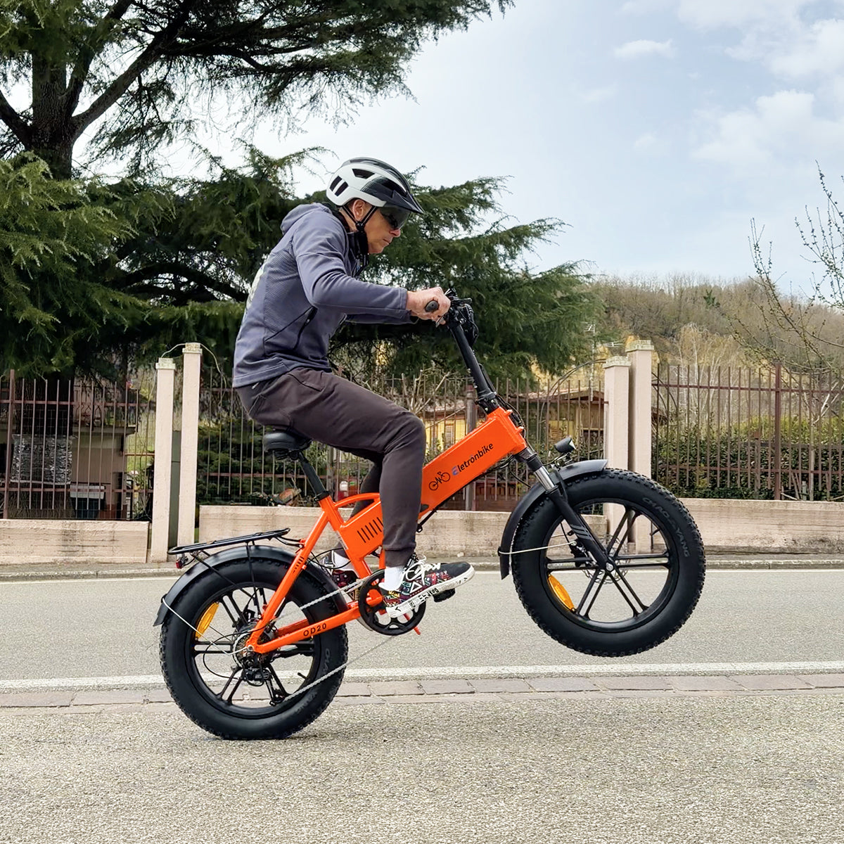 ELETRONBIKE OD20