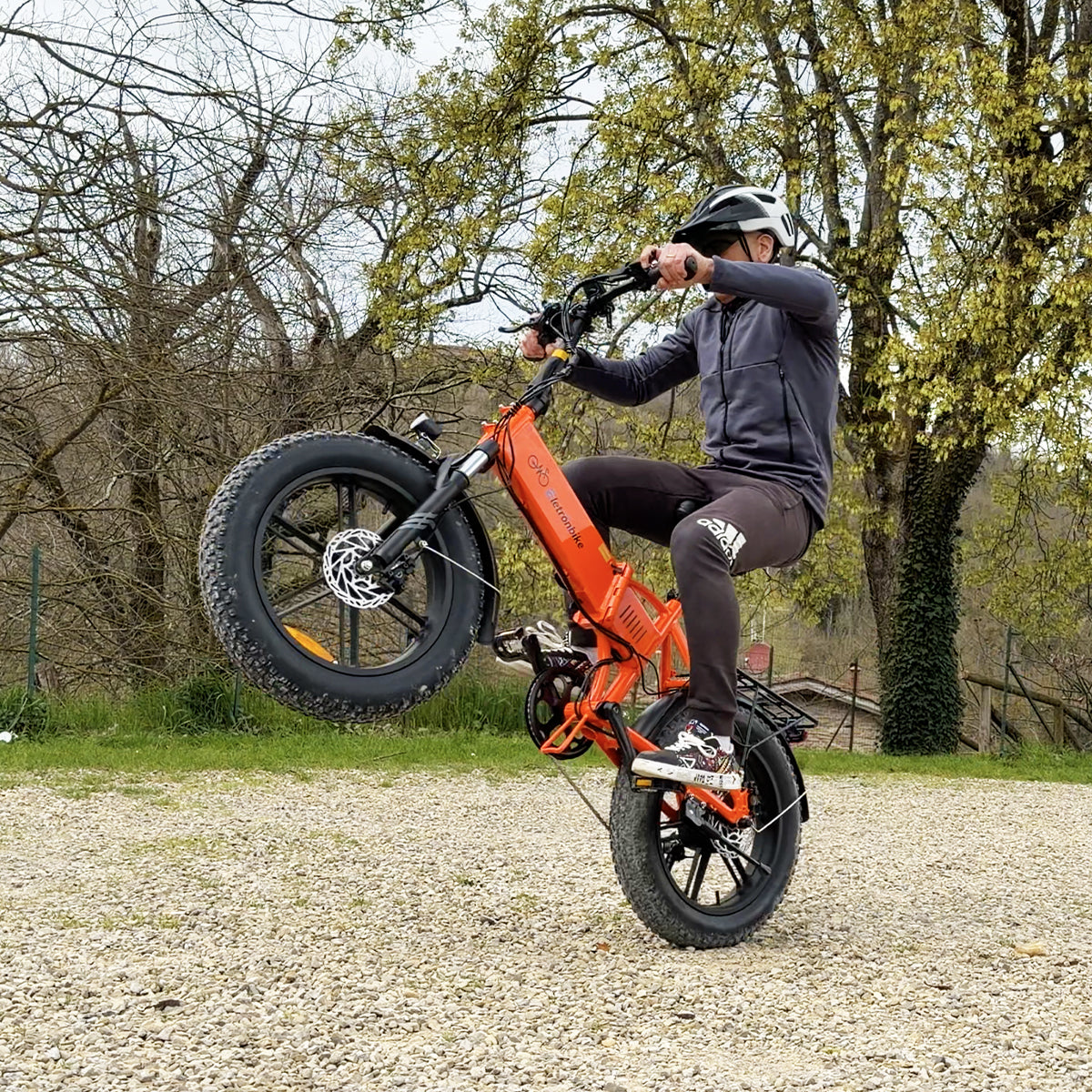ELETRONBIKE OD20