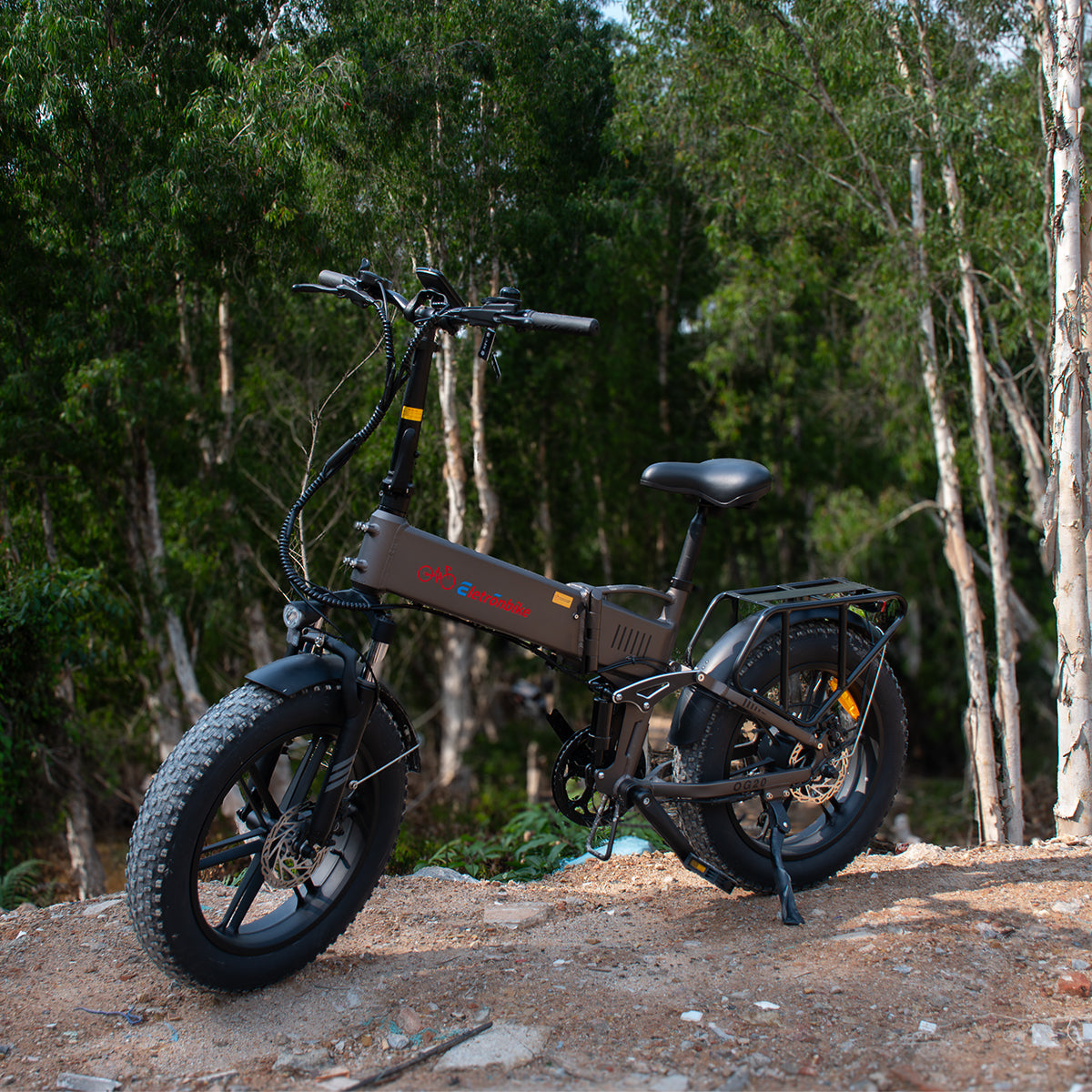 ELETRONBIKE OG20